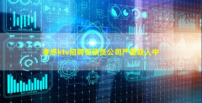 孝感ktv招聘促销员公司严重缺人中